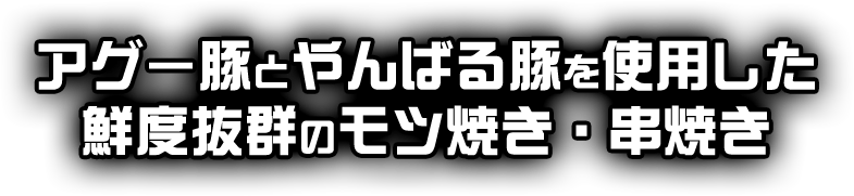 アグー豚とやんばる豚を使用した鮮度抜群のモツ焼き・串焼き